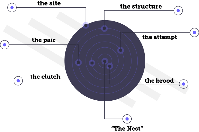 why-nest-example